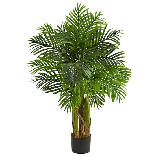 4ft. Potted Kentia Palm Tree